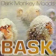 DARK MONKEY MOODS