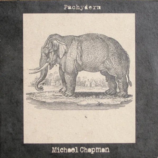 Pachyderm