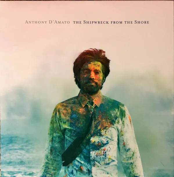 The Shipwreck From The Shore