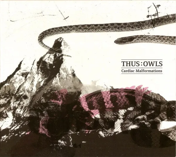 Thus:Owls