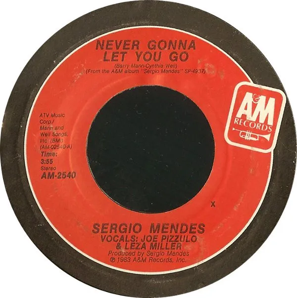 Never Gonna Let You Go