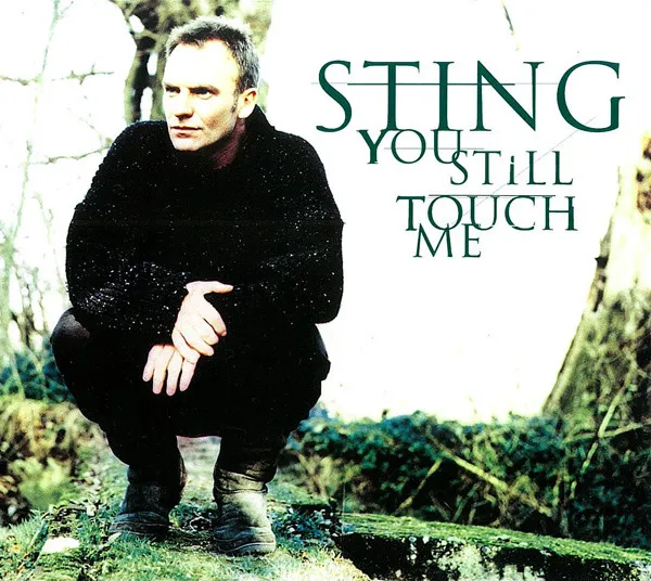 You Still Touch Me
