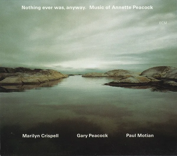 Nothing Ever Was, Anyway