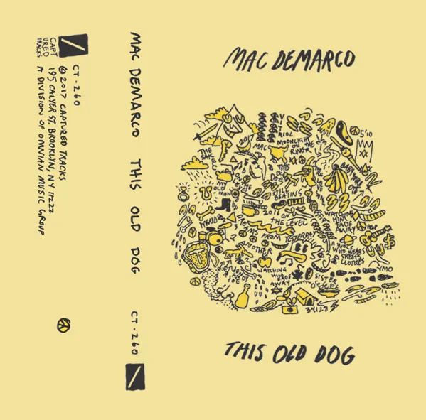 This Old Dog