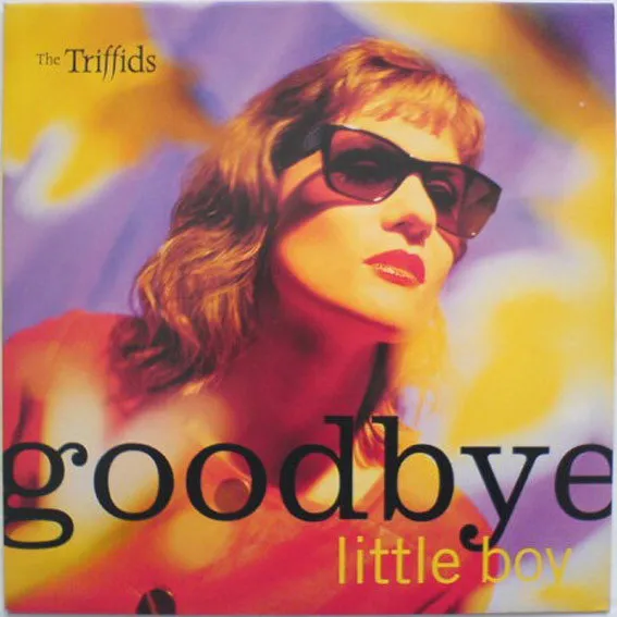 Goodbye Little Boy
