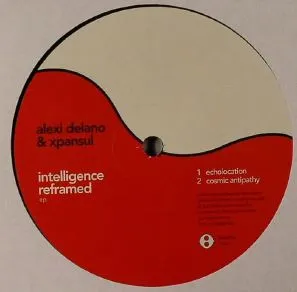Intelligence Reframed EP