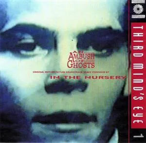 AN AMBUSH OF GHOSTS