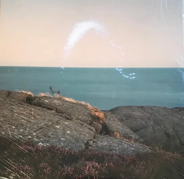 An Overview On Phenomenal Nature