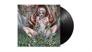 WORM INFESTED BLACK LT