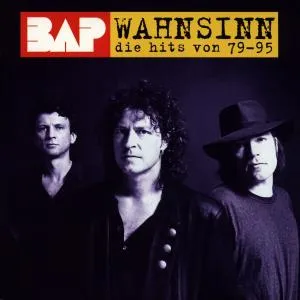 Wahnsinn - Die Hits von 79 - 95