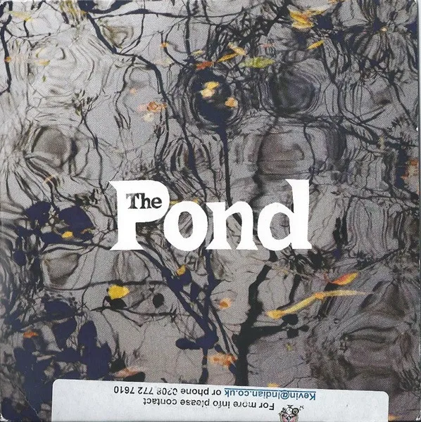The Pond