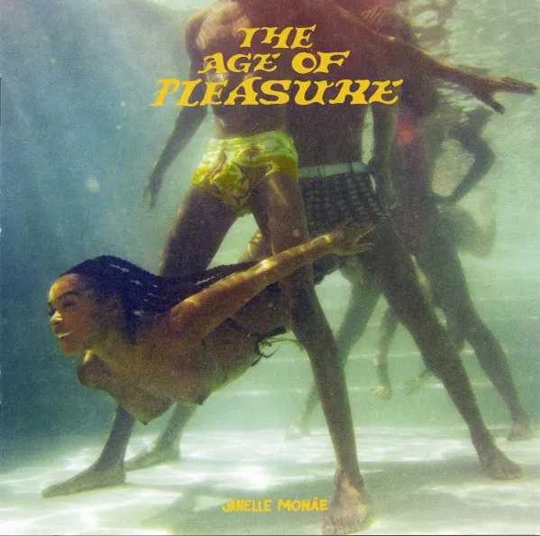 THE AGE OF PLEASURE