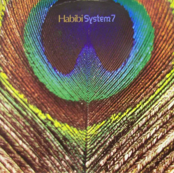 System 7