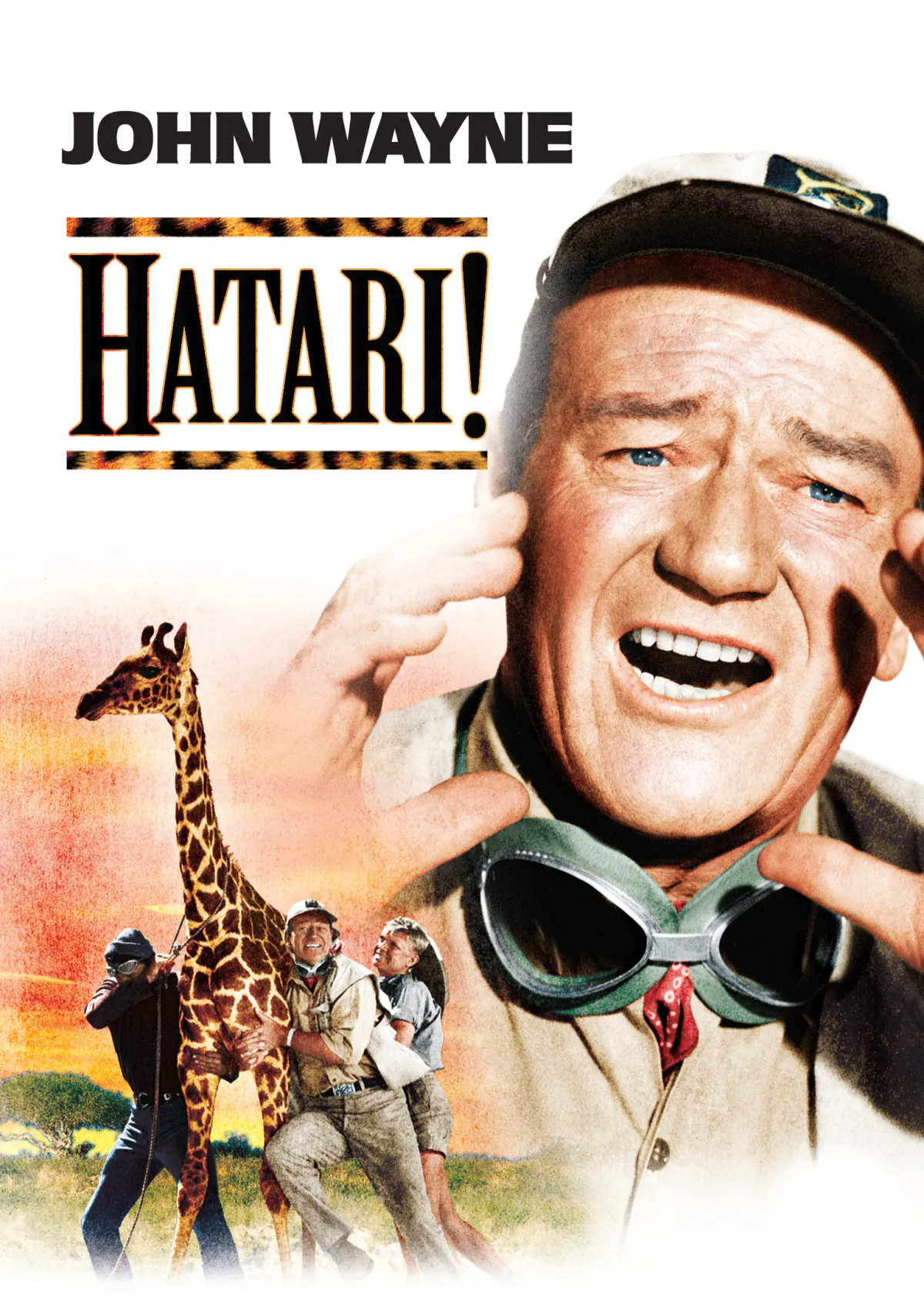 Hatari DVD