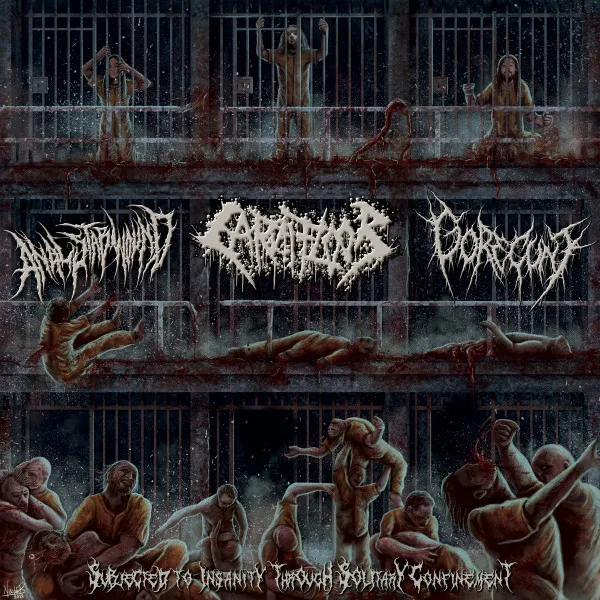 Subjected To Insanity Through Solitary Confinement