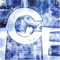 Ice - The String Tribute To Björk