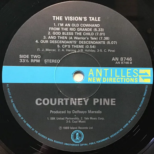 The Vision's Tale