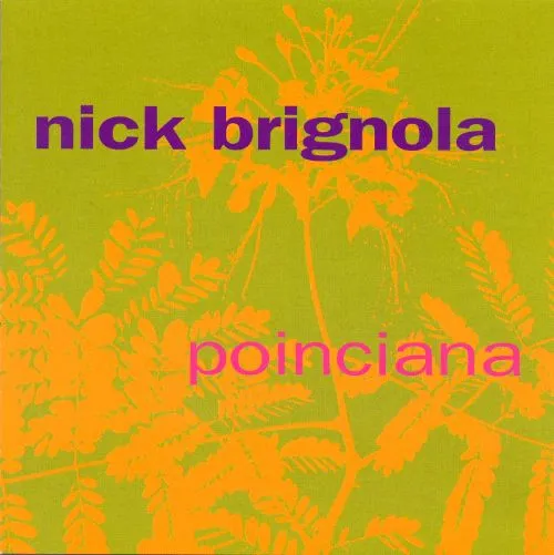 Poinciana