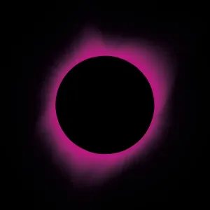 SCOPE NEGLECT
