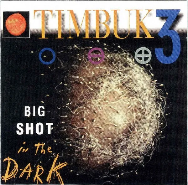 Big Shot In The Dark