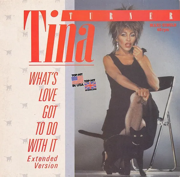 What's Love Got To Do With It (Extended Version)