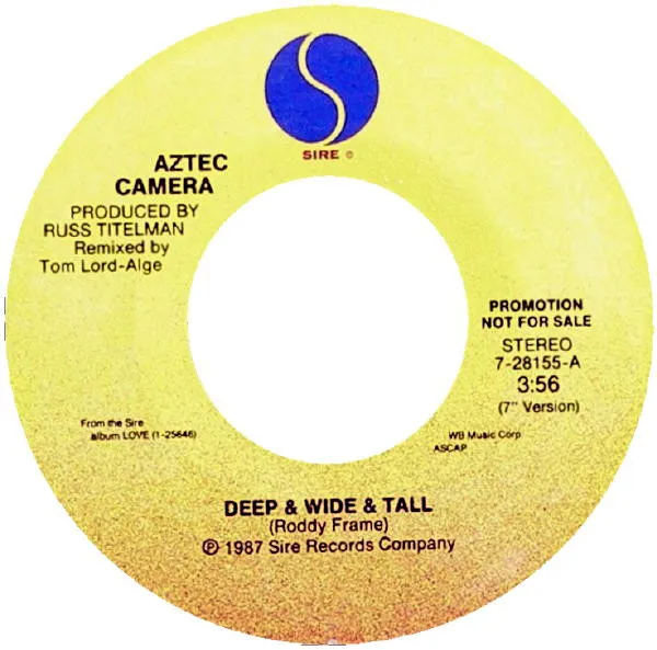 Deep & Wide & Tall