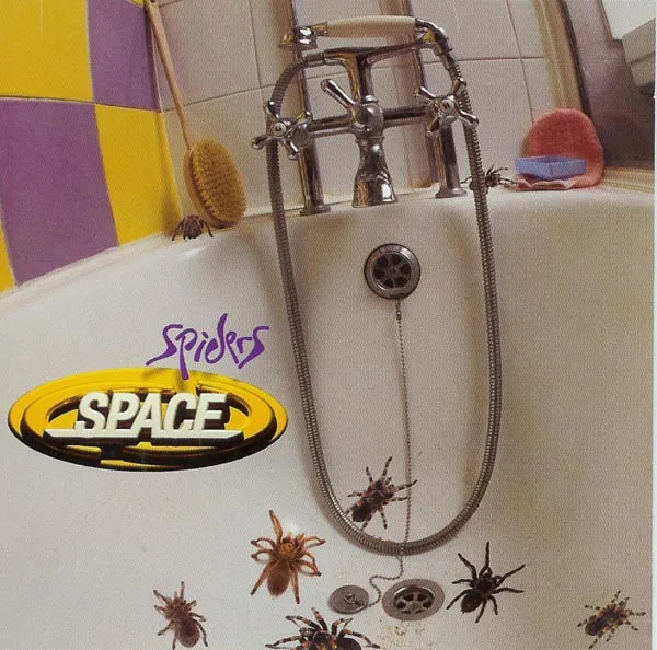 Spiders