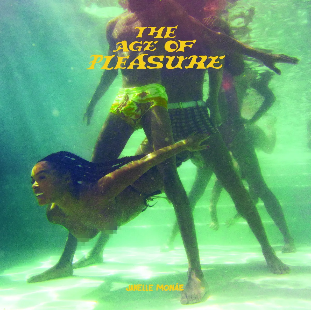 The Age Of Pleasure