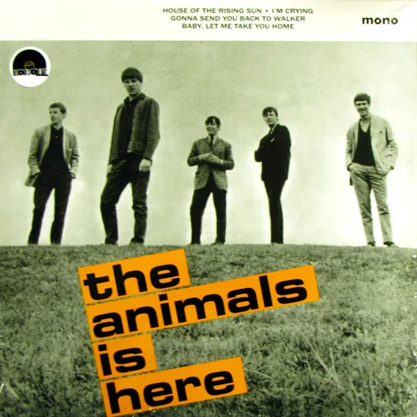 The Animals Is Here