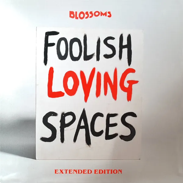 Foolish Loving Spaces (Extended Edition)