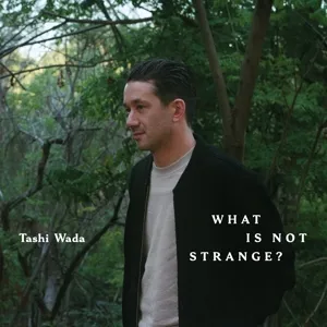 What is Not Strange?