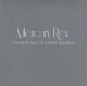 Snowflake In A Hot World