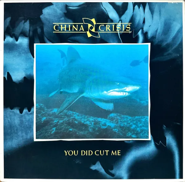 You Did Cut Me