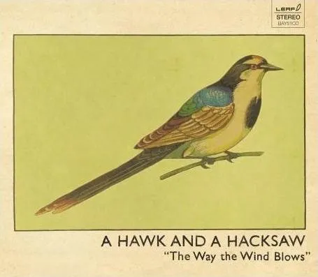WAY THE WIND BLOWS