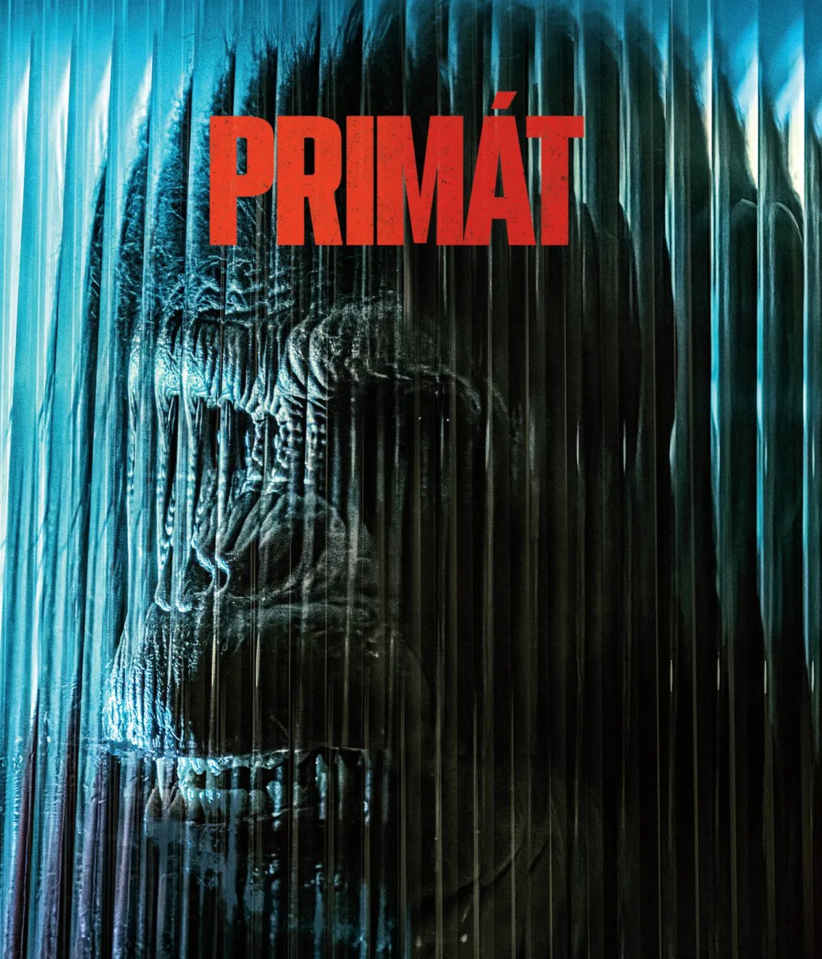 Primát BD