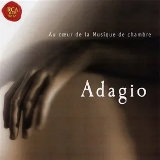 Au coeur de la musique de chambre