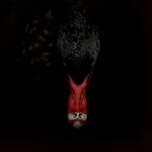 Sankt Otten + N