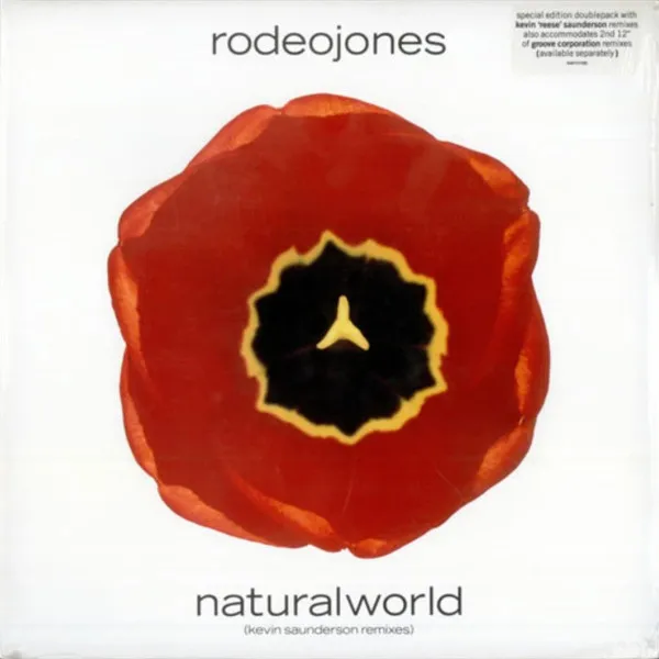 Natural World (Kevin Saunderson Remixes)