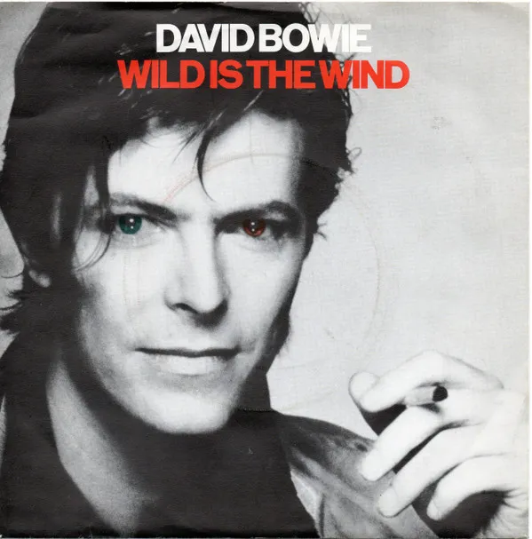 Wild Is The Wind