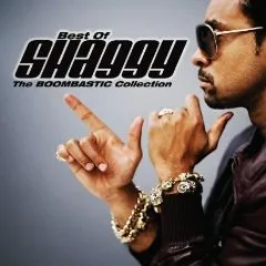 The Boombastic Collection - Best of Shaggy