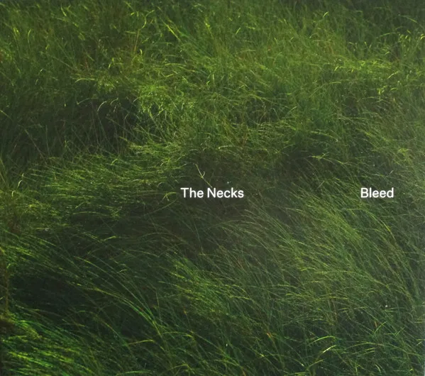 Necks