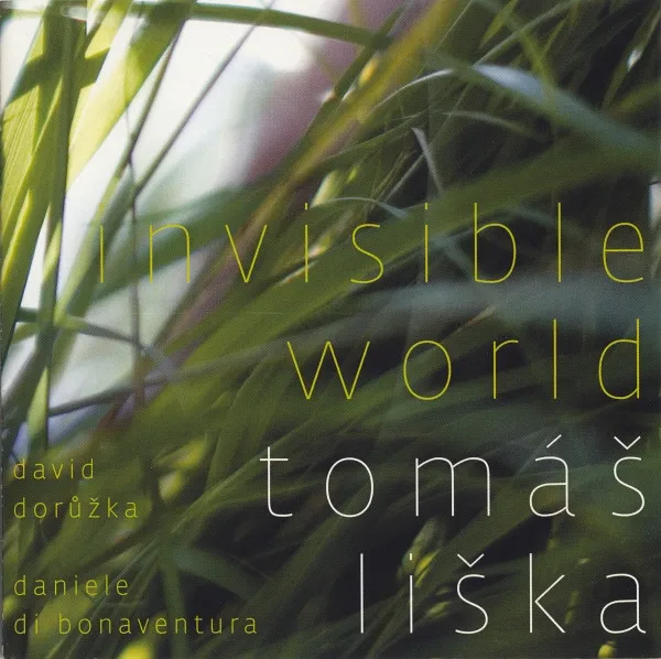 Invisible World