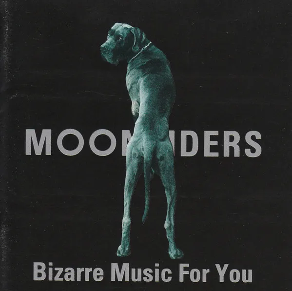 Bizarre Music For You