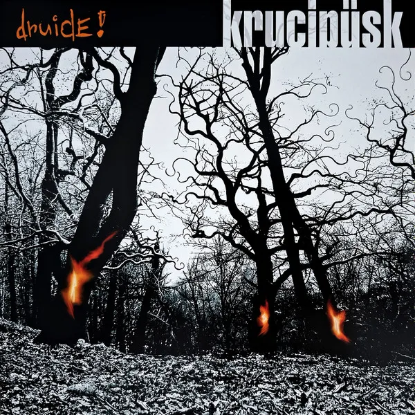 DRUIDE (20TH ANNIVERSARY REMASTER)