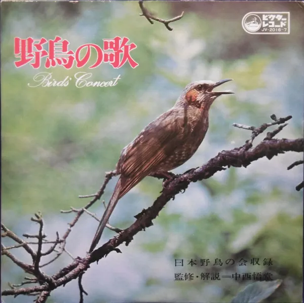 野鳥の歌 Birds' Concert