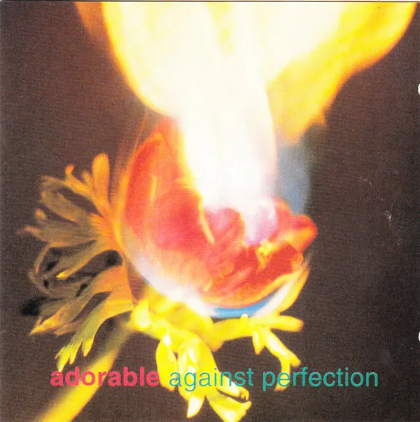 Against Perfection