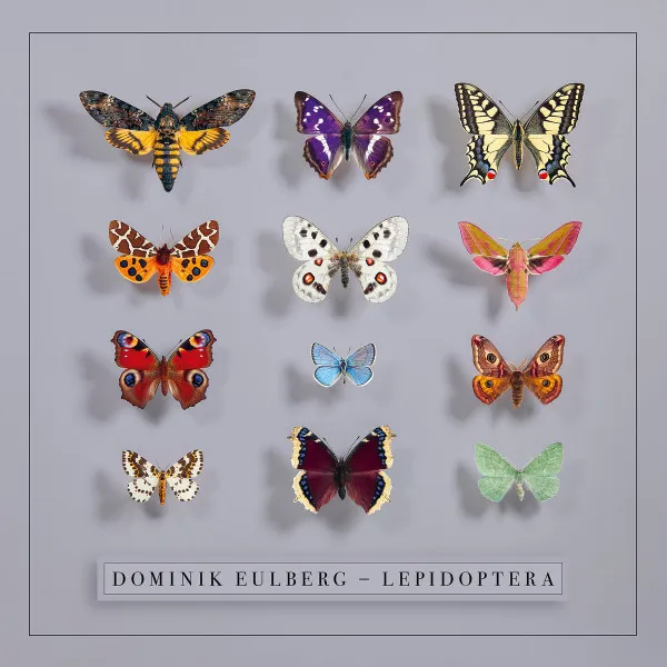 Lepidoptera