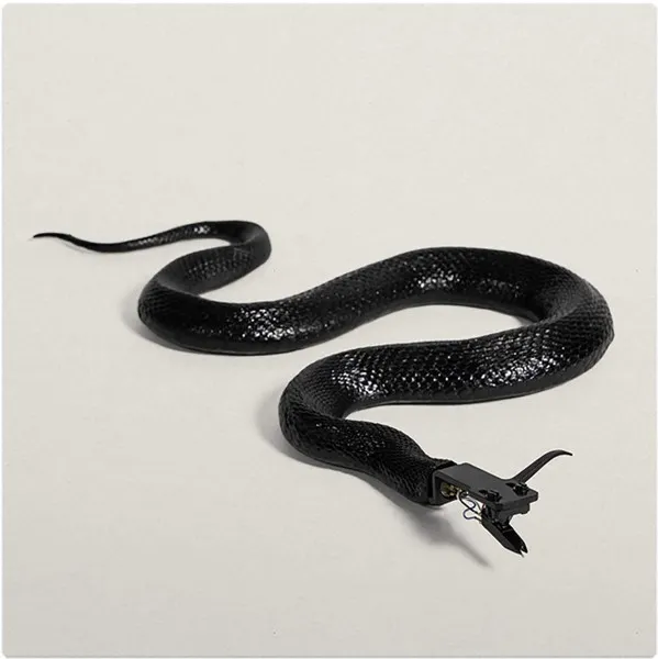 David Ellis Sidewinder