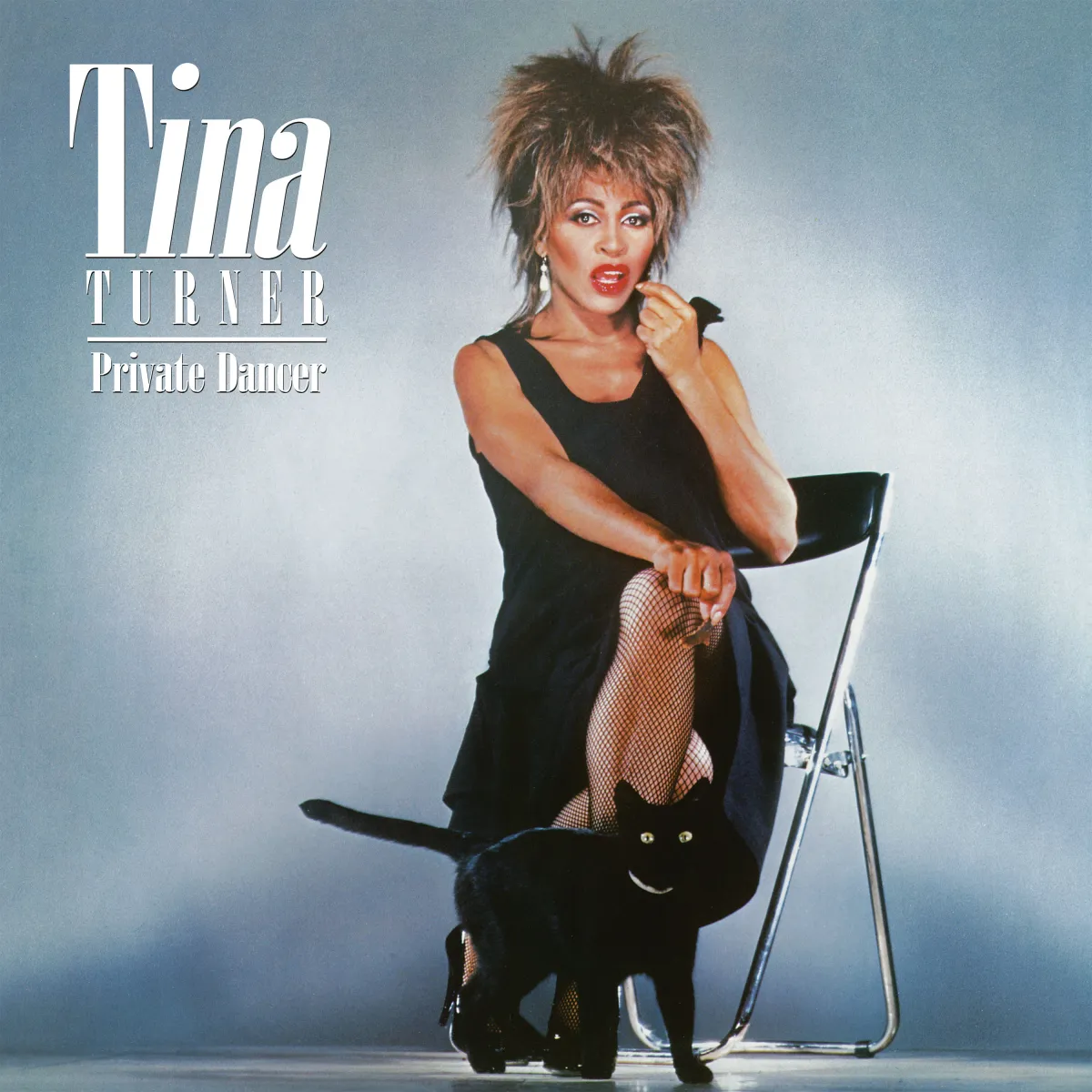 Tina Turner:  Private Dancer / 140g