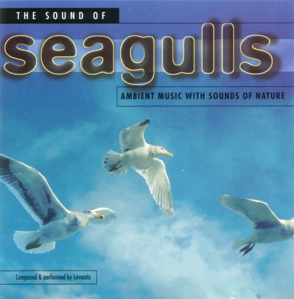 The Sound Of Seagulls